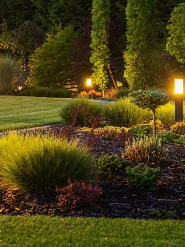 AdobeStock_526509863